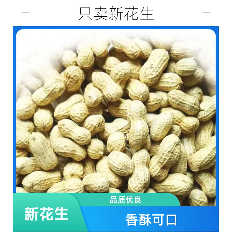 花生2024年新花生铜仁珍珠小花生零食坚果生花生500g包邮农家特产