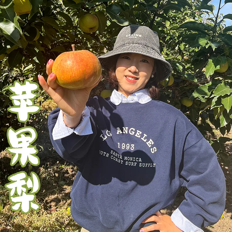 延边苹果梨2025年新鲜特产霜后梨甜脆爆汁微微酸可口产地直发