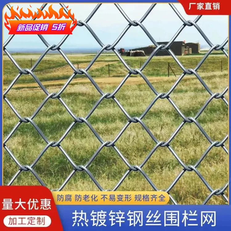 热镀锌铁丝网围栏果园养殖防护钢丝网养鸡养狗不生锈勾花网格栏网