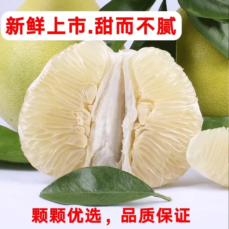 江西井冈蜜柚青皮柚爆汁皮薄多肉吉水特产金沙柚新鲜发货