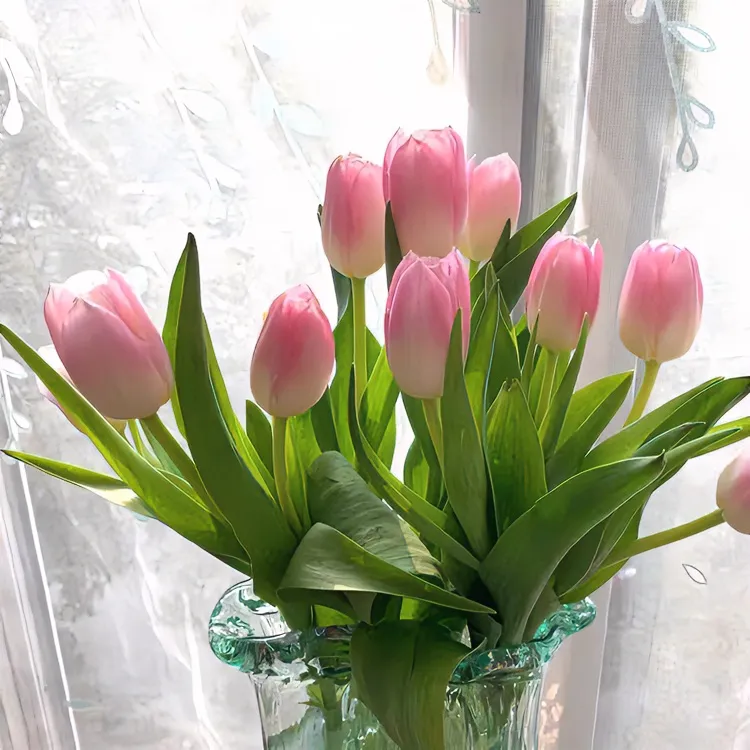 郁金香种球带芽优选四季开花室内阳台土养种植水培植物郁金香