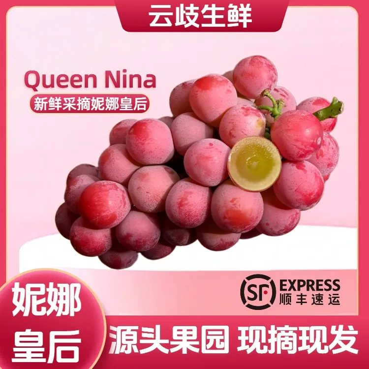 妮娜皇后葡萄自带酒味【超大果15g+】当季水果礼盒送礼佳顺丰包邮