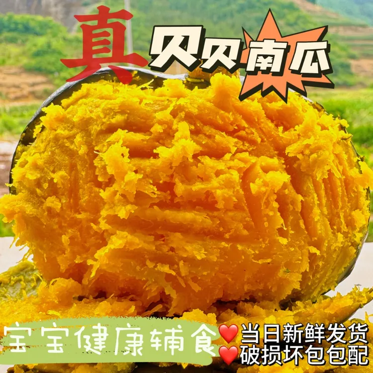 （坏瓜包赔）新鲜采摘沙地贝贝南瓜粉糯香甜4.5-5斤不粉包赔4-7个S