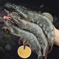 1肆生鲜海水虾20-30大规格净重3.3斤新鲜肉质紧实青岛发货