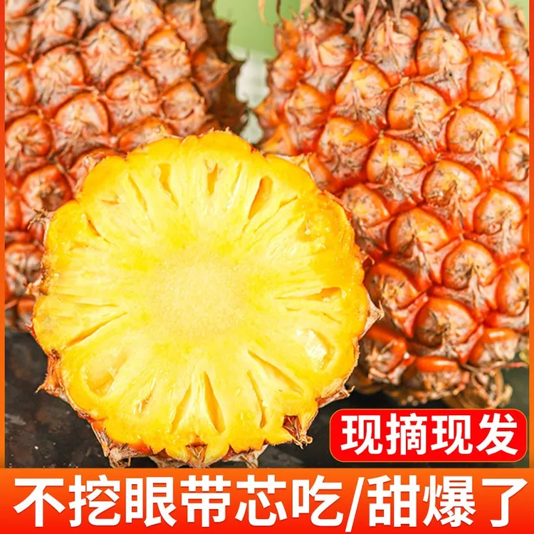【顺丰可选】金钻凤梨海南无眼大菠萝现摘手撕鲜甜美味凤梨新鲜水果