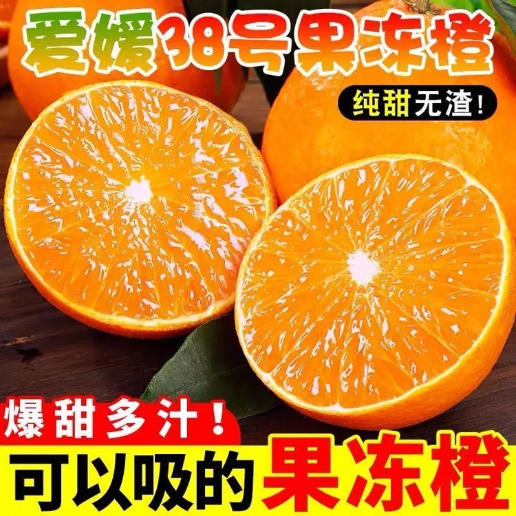 正宗爱媛38果冻橙现摘当季新鲜水果四川橙子孕妇时令水果桔子柑橘