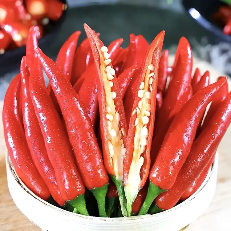 y小米椒新鲜现摘小米辣特辣红辣椒朝天椒指天椒泡椒剁椒产地批发