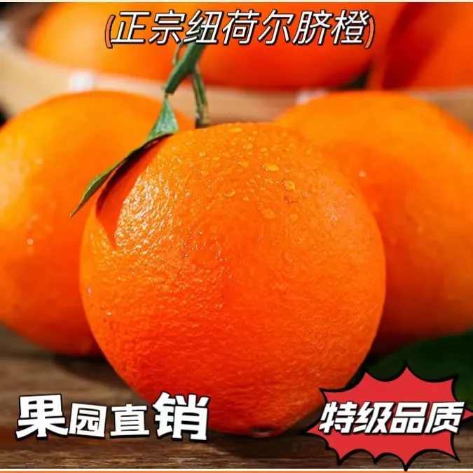 正宗超甜纽荷尔脐橙新鲜水果橙子产地直发5/10斤带箱赣南脐橙品种