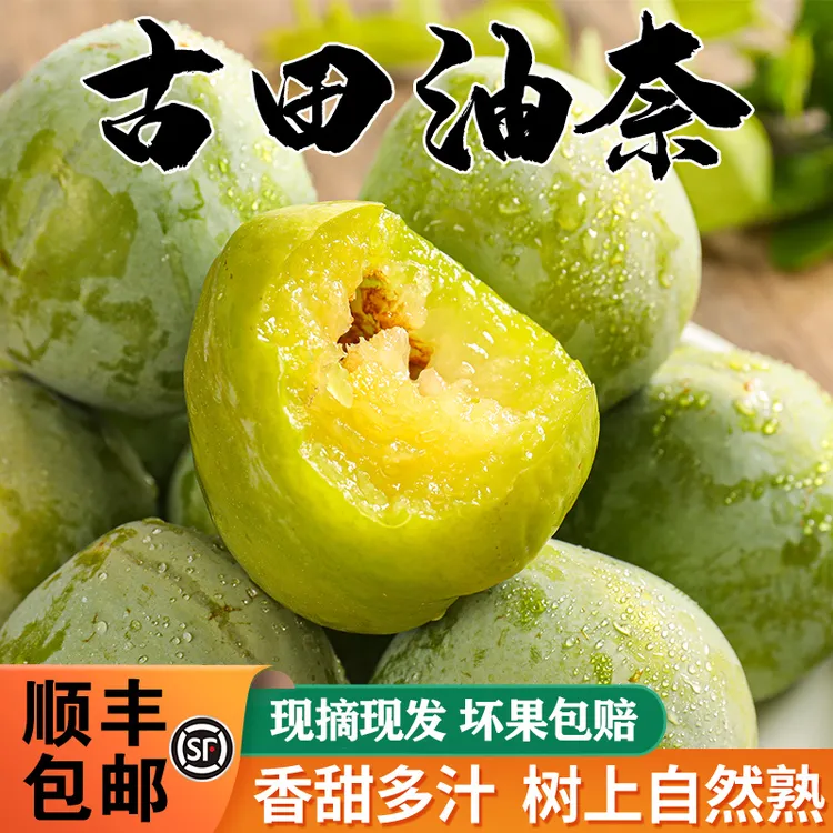 【顺丰】福建古田油奈李子奈李新鲜水果孕妇桃形李青脆空心青奈5斤