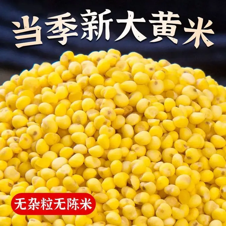 东北大黄米新米农家黏黄米粘糯大黄米汤圆包粽子五谷杂粮大黄米