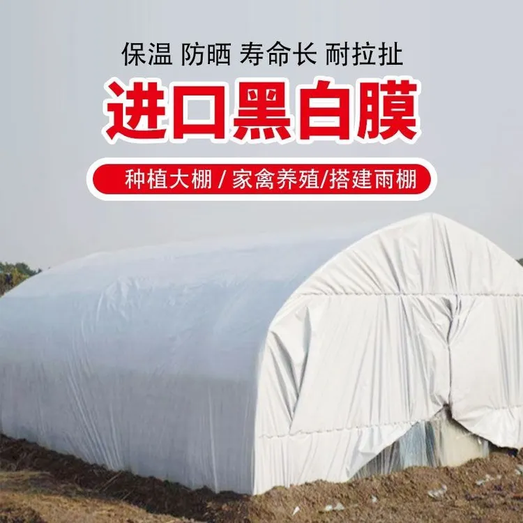 养殖黑白膜加厚保温防雨布膜防光隔热膜塑料薄膜养殖专用膜防水布