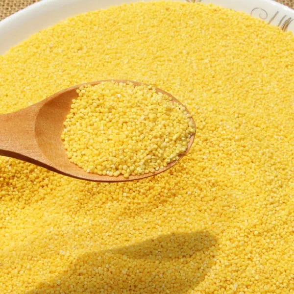 朝阳小米黄金米小米 米中精品  一袋5斤