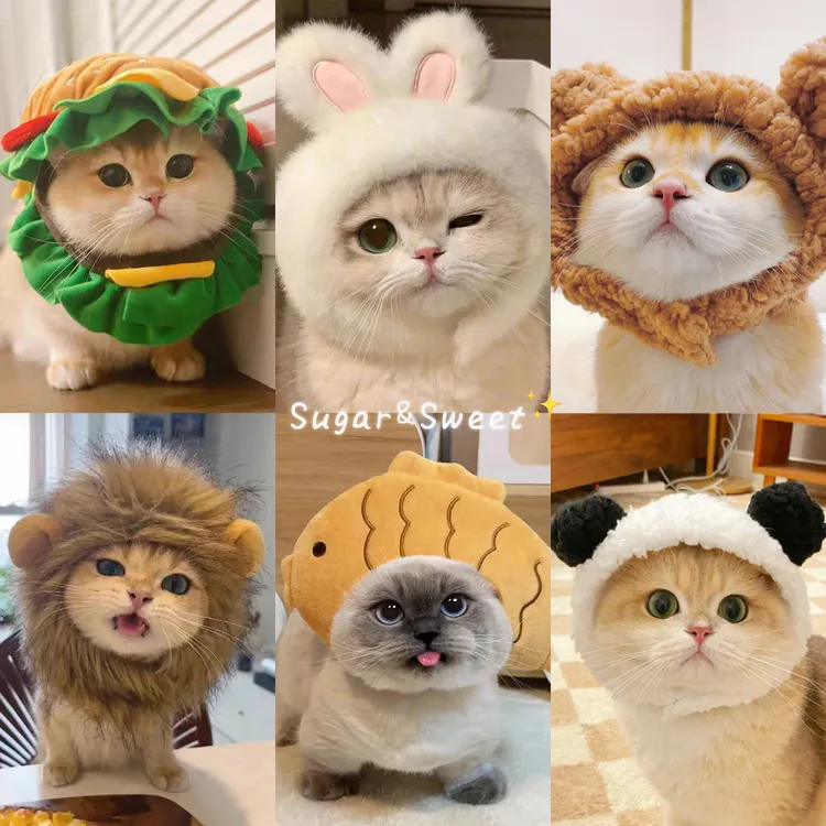 宠物猫咪狗狗网红兔耳朵狮子头套兔子猫猫帽子可爱汉堡头饰装扮