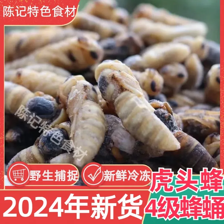 2025新货4级金环虎头蜂蜂蛹新鲜冷冻蜂儿子马蜂蛹黑无翅土蜂蛹