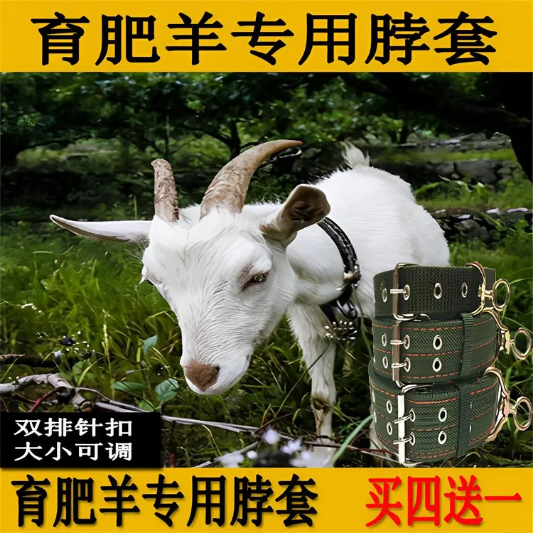 栓羊脖套羊项圈育肥羊脖套项圈羊绳子养殖设备加厚拴羊专用的脖套