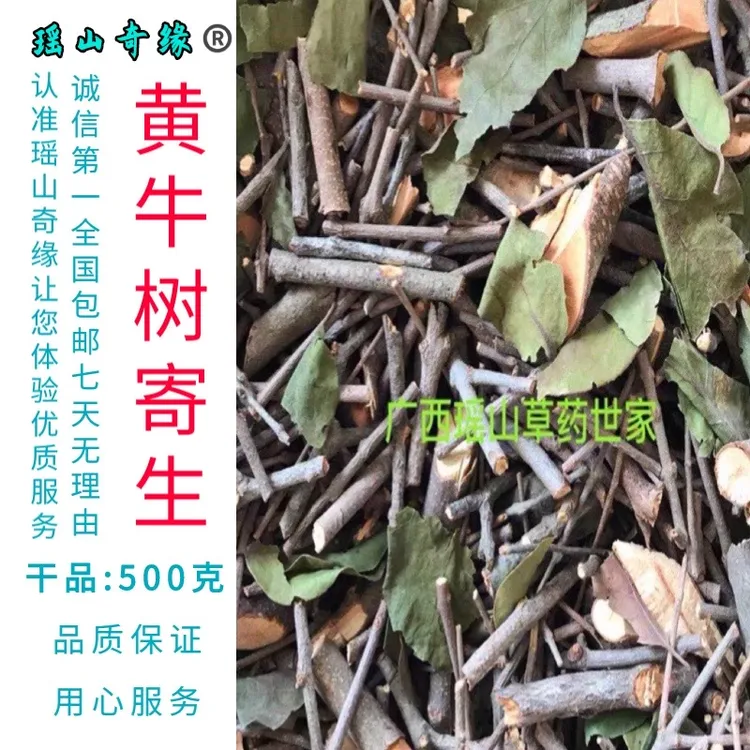 黄牛树寄生干品500克包邮 黄芽木寄生黄牛树寄生雀笼木狗芽木寄生