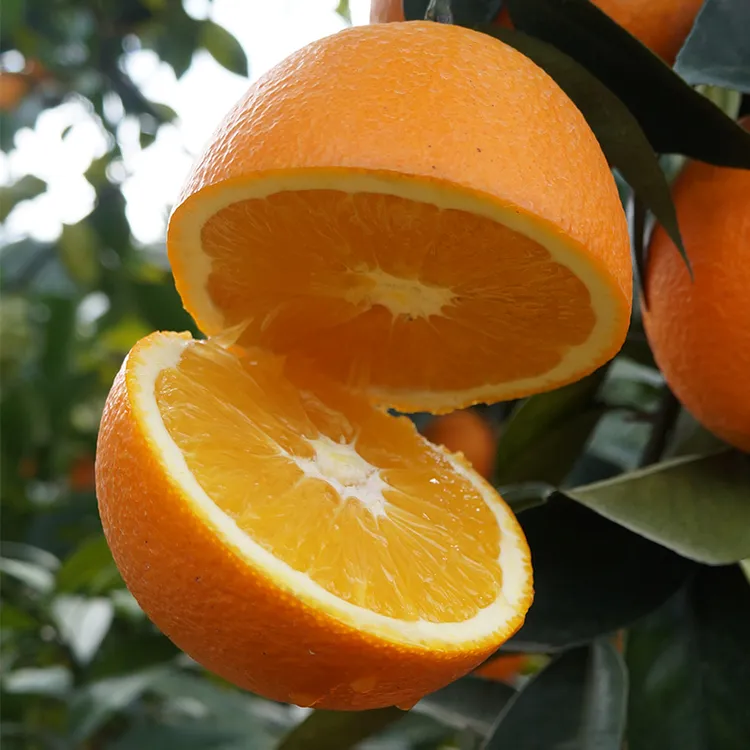【带枝叶】正宗赣南脐橙5/10斤新鲜橙子孕妇水果皮薄多汁橙子