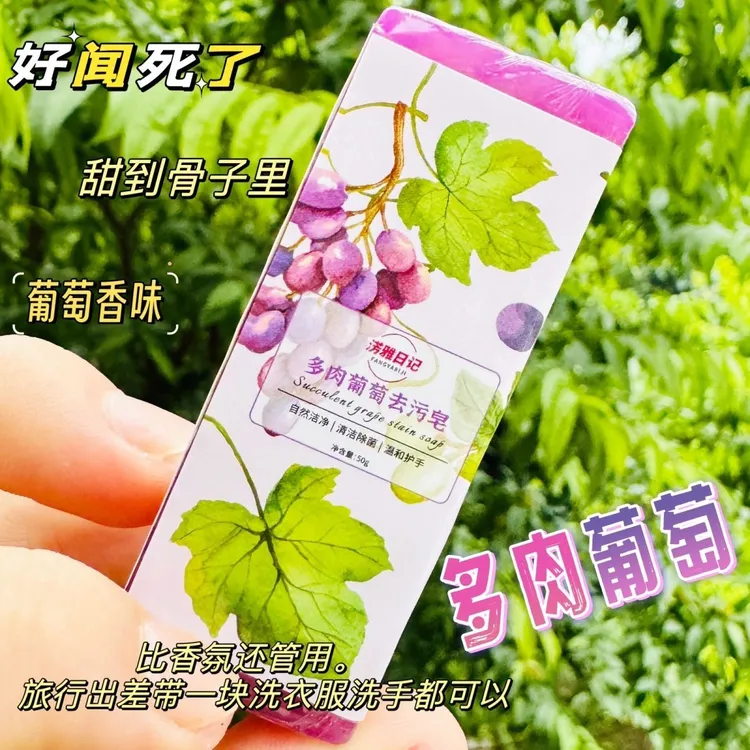 淓雅日记旅行便携领口衣袖洗衣皂肥皂洗手香皂无磷剂衣物洗化妆刷