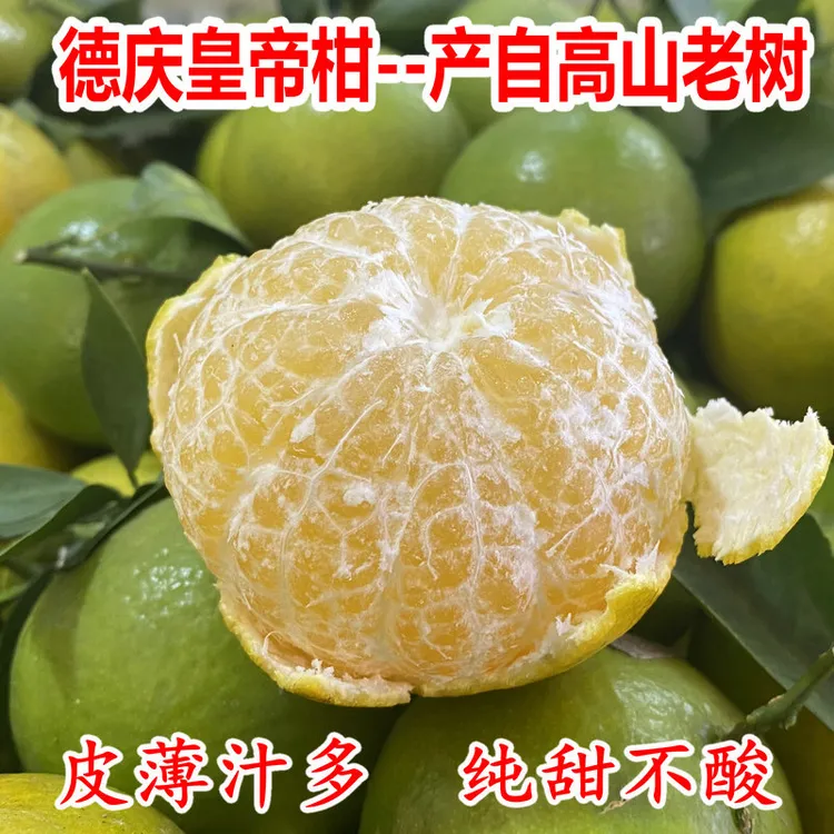 【果农自销】正宗德庆皇帝柑新鲜采摘当季贡柑整箱3/5/9斤老树果