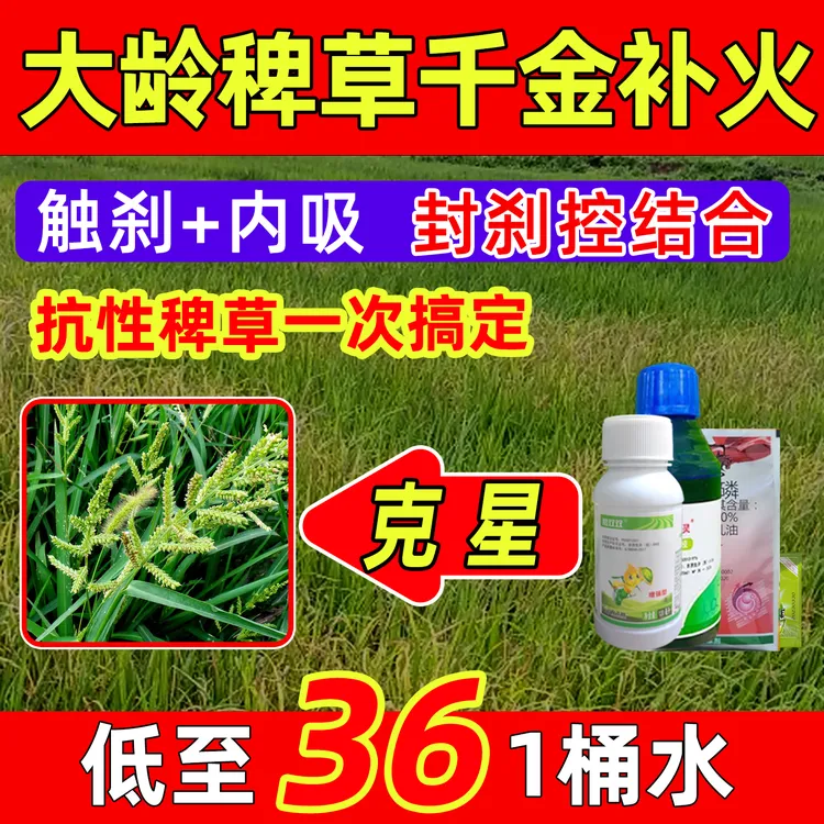 农飞客 抗性稗草千金大龄稗草补火专用禾本科草见效快