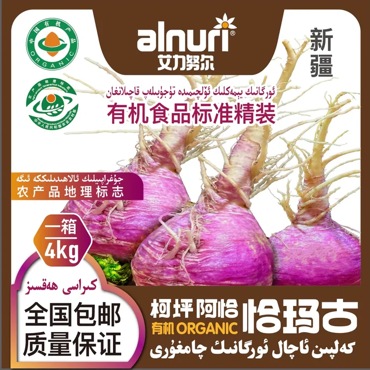 阿恰紫皮恰玛古新疆阿克苏柯坪县特产芜菁新鲜碱性营养蔬菜蔓菁