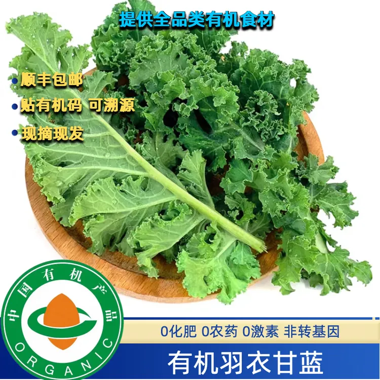 有机认证有机羽衣甘蓝2斤顺丰现摘现发，生榨无农残安心绿色蔬菜
