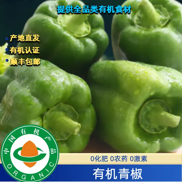 3斤有机青椒有机青圆椒有机菜椒有机认证不打药无农残口感好顺丰