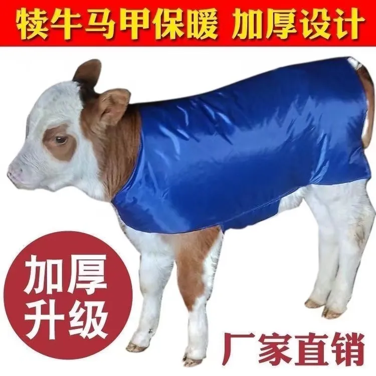 加厚牛犊马甲牛犊保暖防寒衣犊牛加绒防水衣服通用型内里加绒防寒