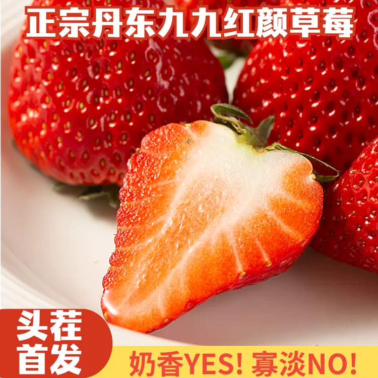 正宗丹东九九草莓红颜草莓1.8斤装/2.8斤装/礼盒装新鲜顺丰包邮