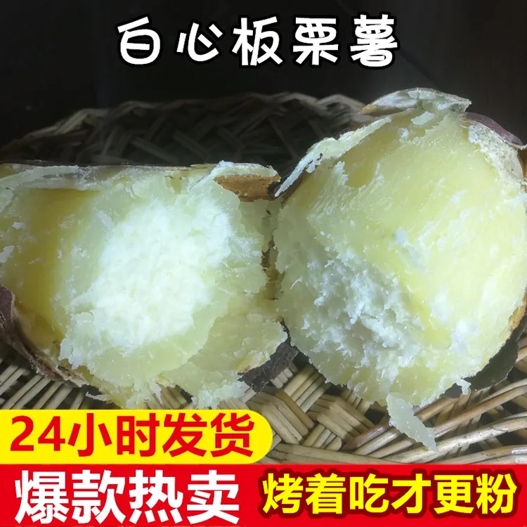 25年河南现挖新鲜白心板栗薯白瓤面糯甜红薯2斤5斤地瓜番薯白薯