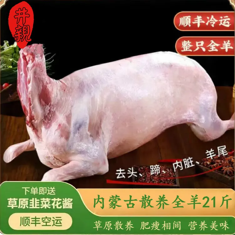 井親内蒙古草原苏尼特散养全羊 整只新鲜白条羊 烤全羊可分割