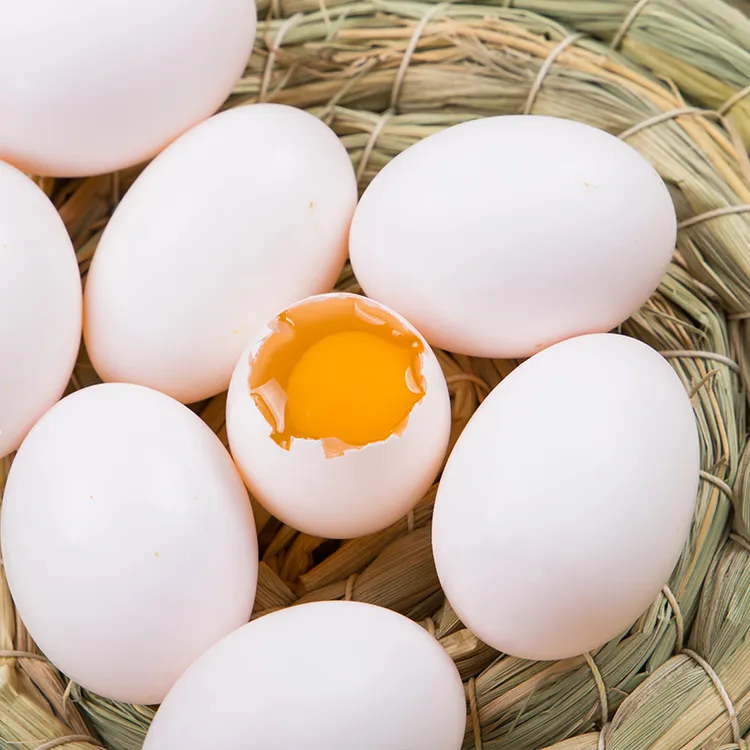 天贝五谷杂粮新鲜鸽子蛋初生鸽蛋精品营养孕妇儿童宝宝24g以上