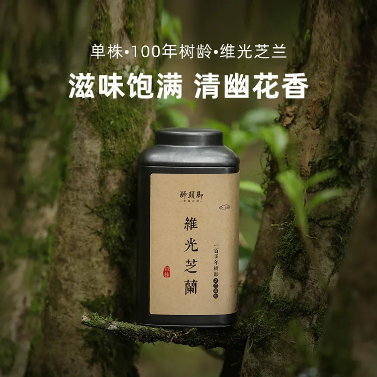狮头脚【维光芝兰】单株古树 潮州凤凰单丛茶叶 高山凤凰单枞茶叶
