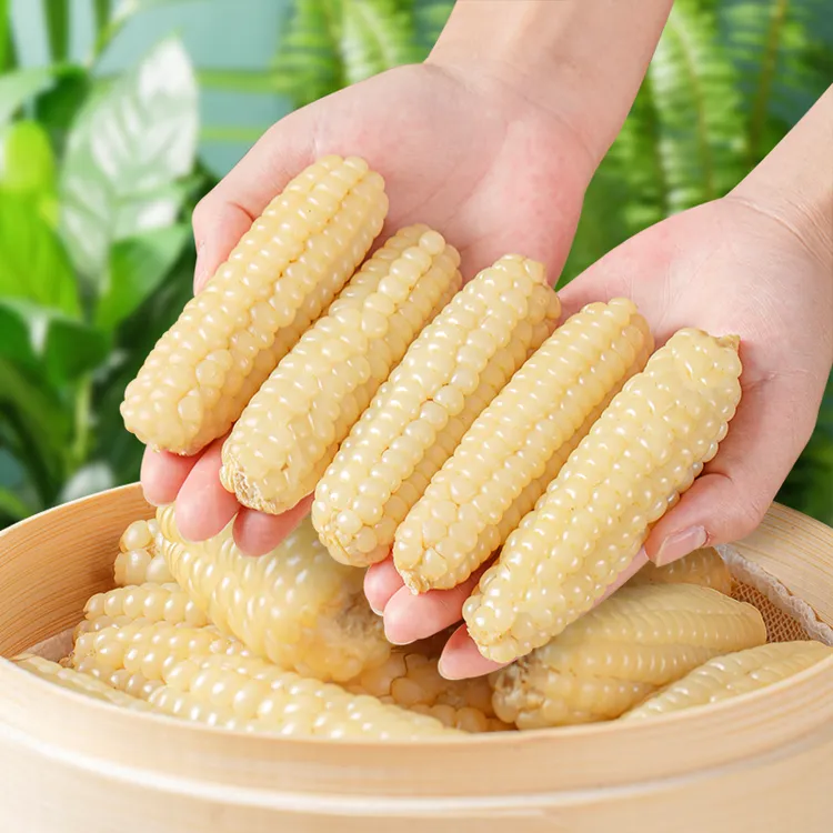 版纳拇指小玉米真空装低脂手指玉米四小时锁鲜宝宝餐食小宝贝玉米