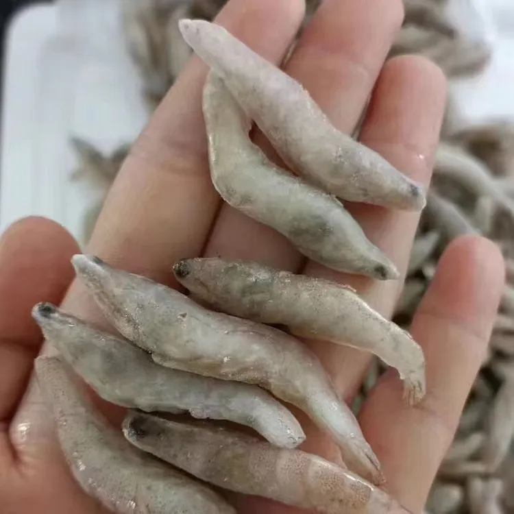 龙鱼专用鱼食去虾枪白虾饲料冷冻河虾冻虾喂鱼冷冻虾小河虾