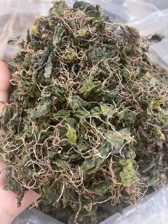 青天葵1两野生真珠草独叶葵自然晒干50克中药材小叶青天葵