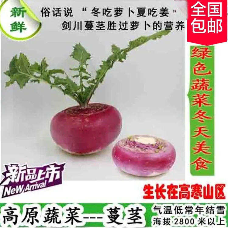 云南高原高海拨高寒蔬菜剑川红玉紫玉蔓茎蔓菁减脂菜全国包邮