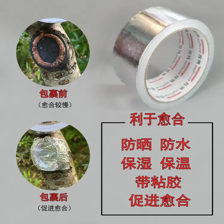 盆景用锡纸自粘膜植物伤口锡纸树口封口贴树枝切口自粘通用防水