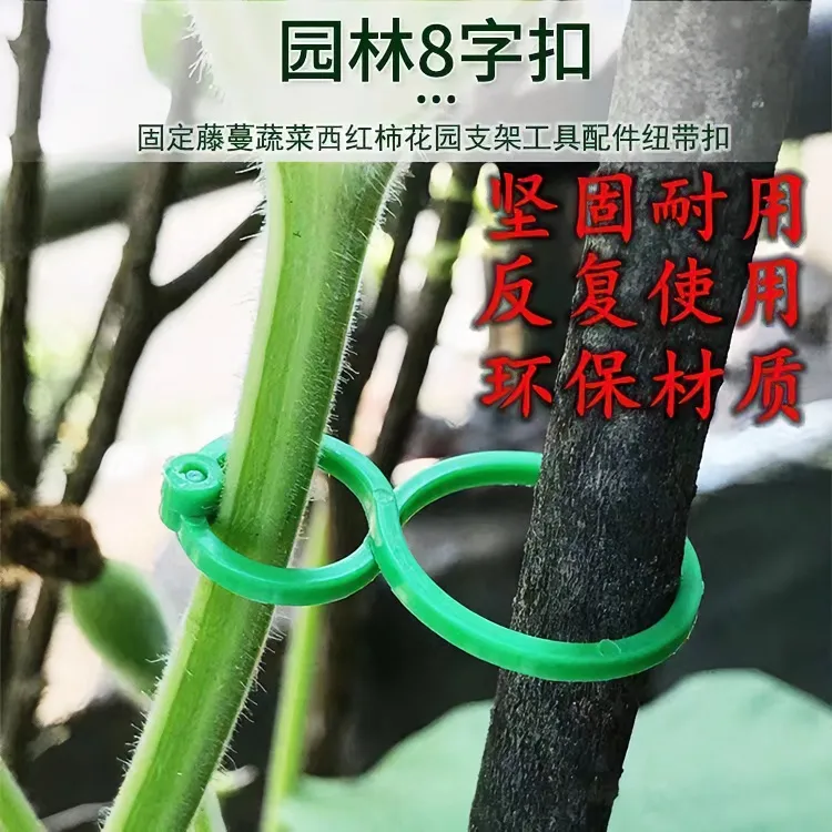  多功能园艺八字扣种植藤蔓固定夹爬藤植物茎秆支撑园林工具8字扣