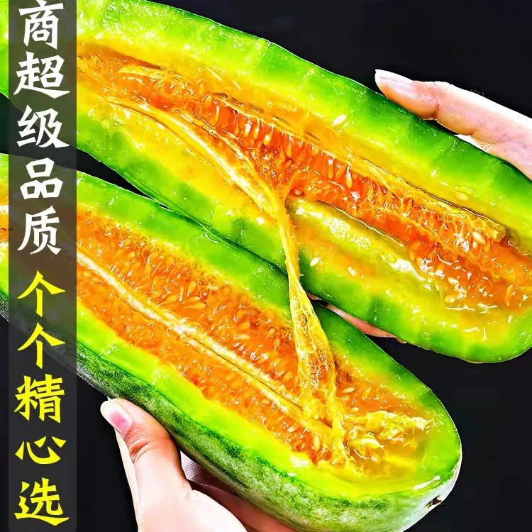 【产地直发】山东正宗羊角蜜甜瓜香瓜脆甜多汁新鲜采摘蜜瓜产地直发