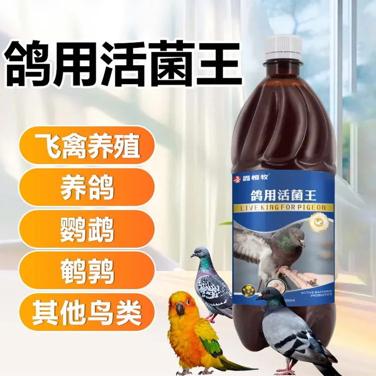 【鸽用活菌王】赛鸽肉鸽肠道活菌流感绿便白便炸毛饲料添加剂