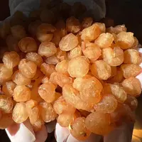 高州正宗老树桂圆肉新货12A大果高州无核龙眼干肉厚炖汤熬粥