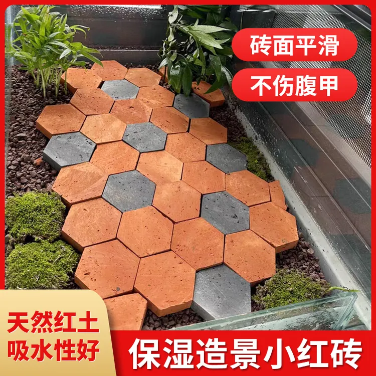 黄缘造景地砖红砖陆龟铺地垫材蜂巢砖安缘造景装饰黄缘龟环境布置