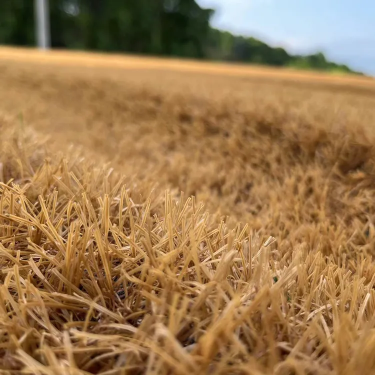 仿真茅草沙滩草坪塑料人造草坪茅草色屋顶隔热隔音茅草屋假草坪