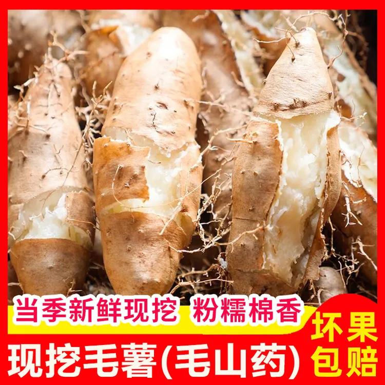 [新上市]2025新鲜毛薯大果茂名白心粉糯山药农家现挖甜薯猪仔薯