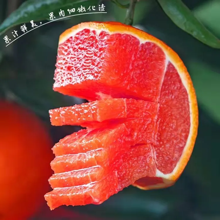 [现摘才是无添加]湖北九月红血橙伦晚果冻橙孕妇新鲜水果橙子