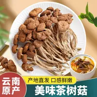 云南特产 茶树菇=250克/500克干货新货香菌菇