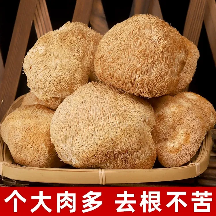 长白山野生猴头蘑菇干货