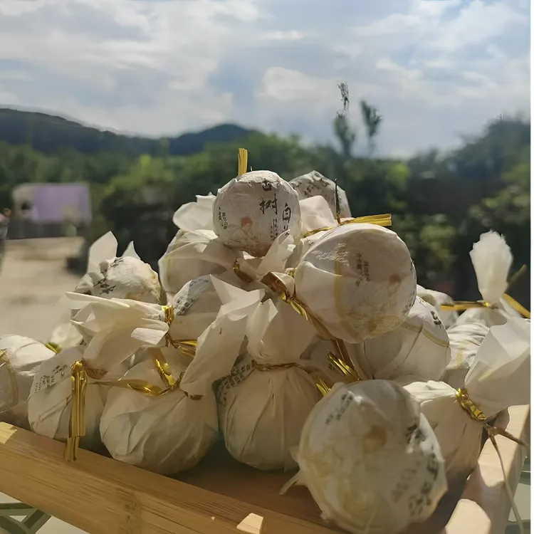 普洱白茶药香龙珠2021年252克