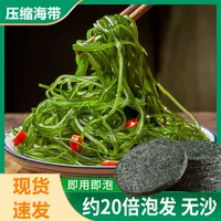 霞浦压缩海带丝特产泡发凉拌菜压缩圆饼真空烘干独立包装16g/ 包